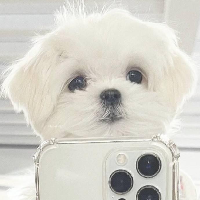 🧂ˎˊ˗恰口奶盖 🍽