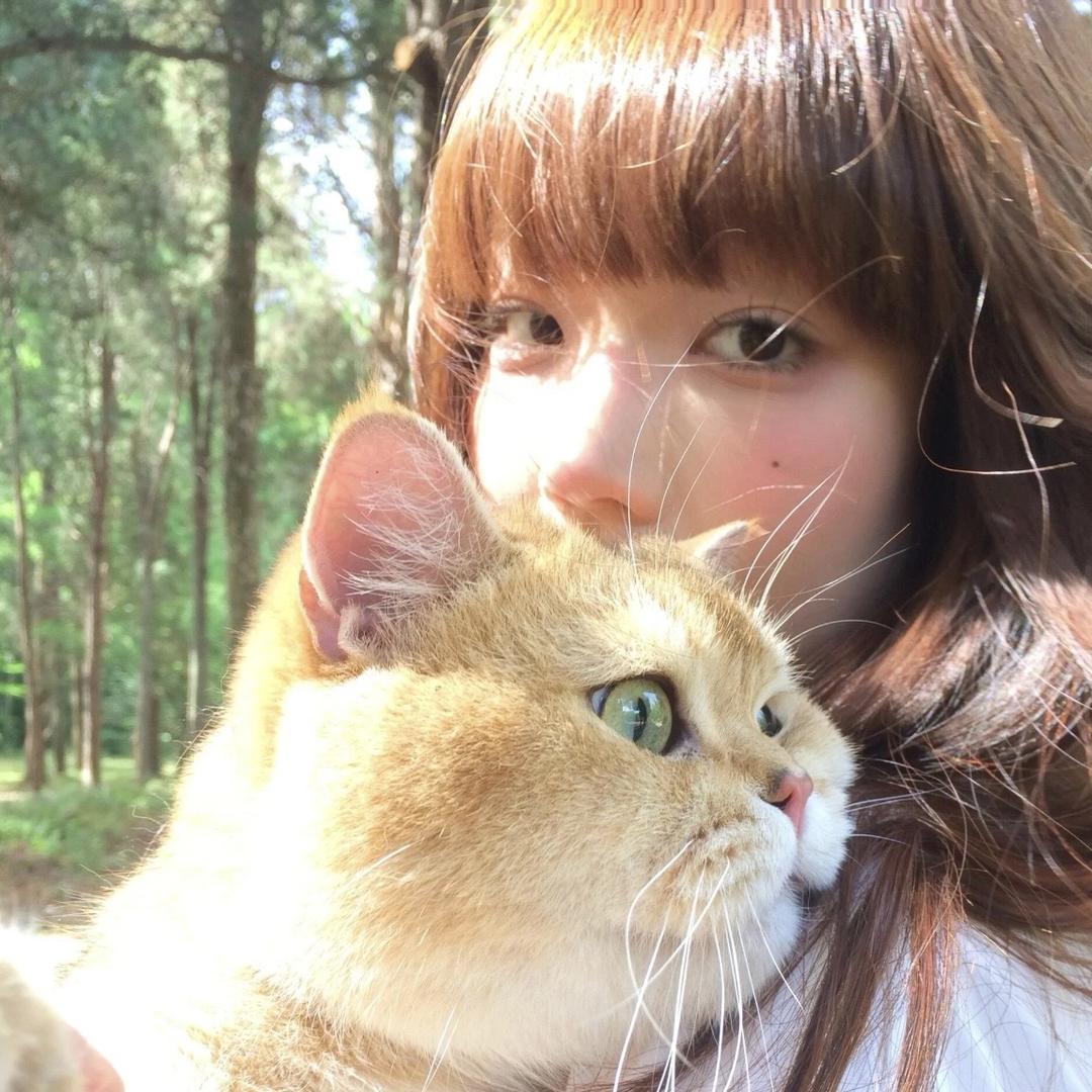 晚安🎻