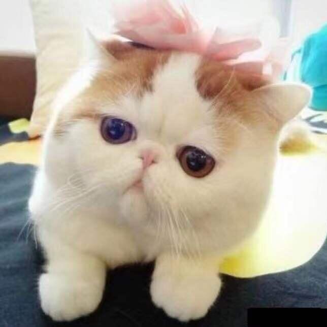 在我身边