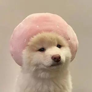 紫色河马