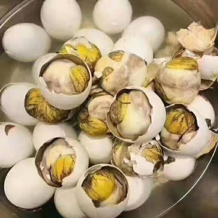 大娟活珠子
