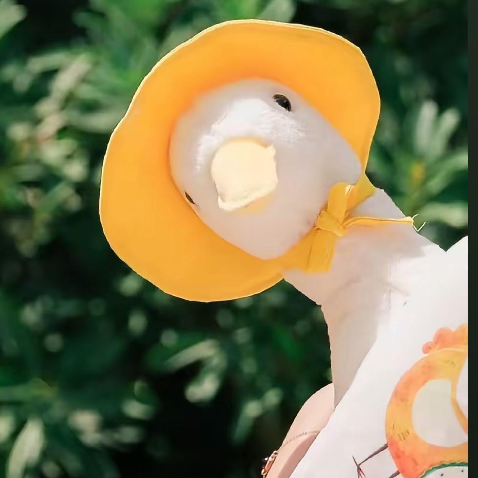 懒鹅