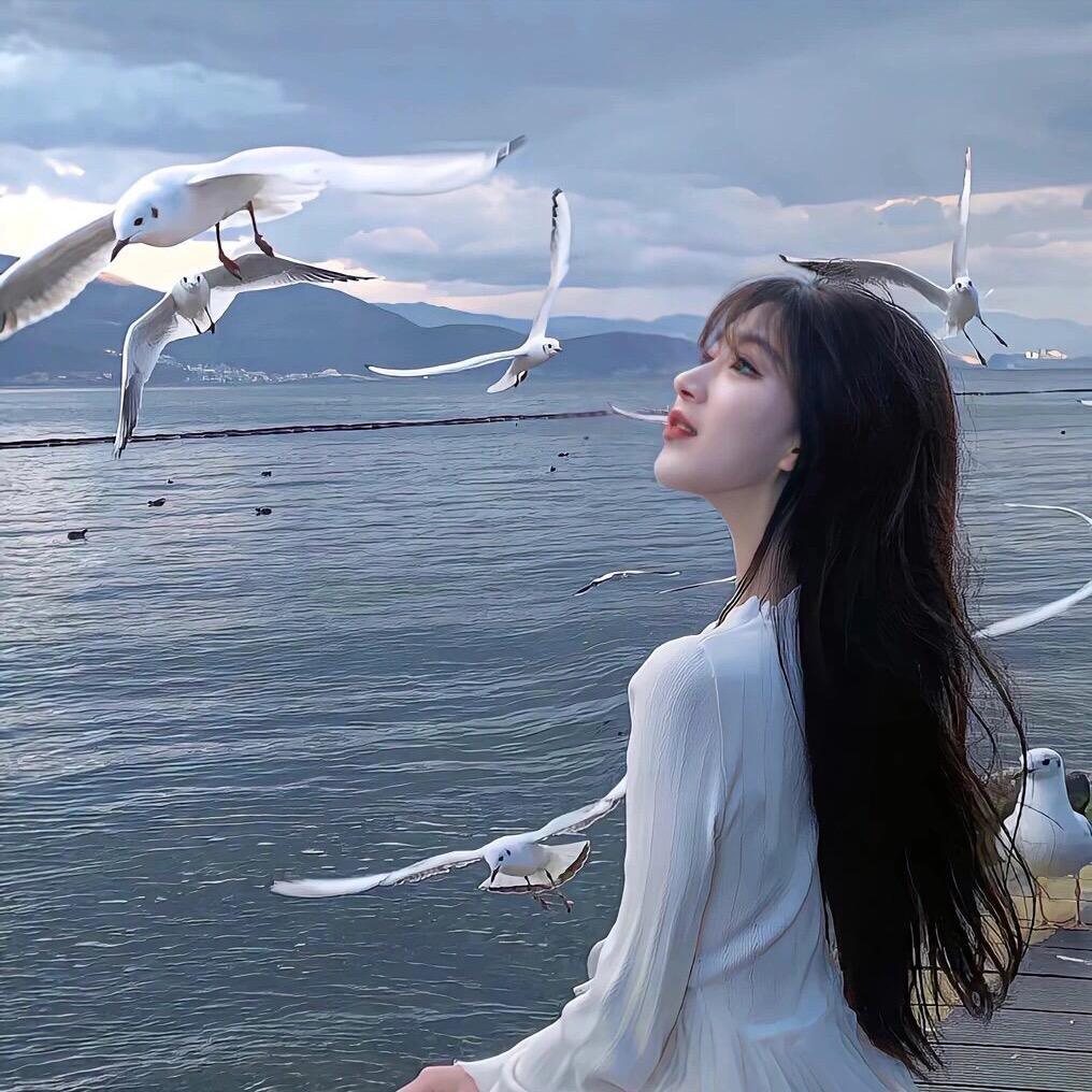三朵金花