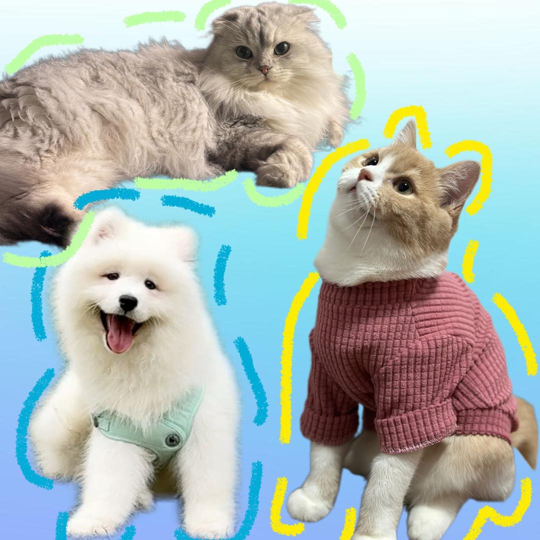 了由