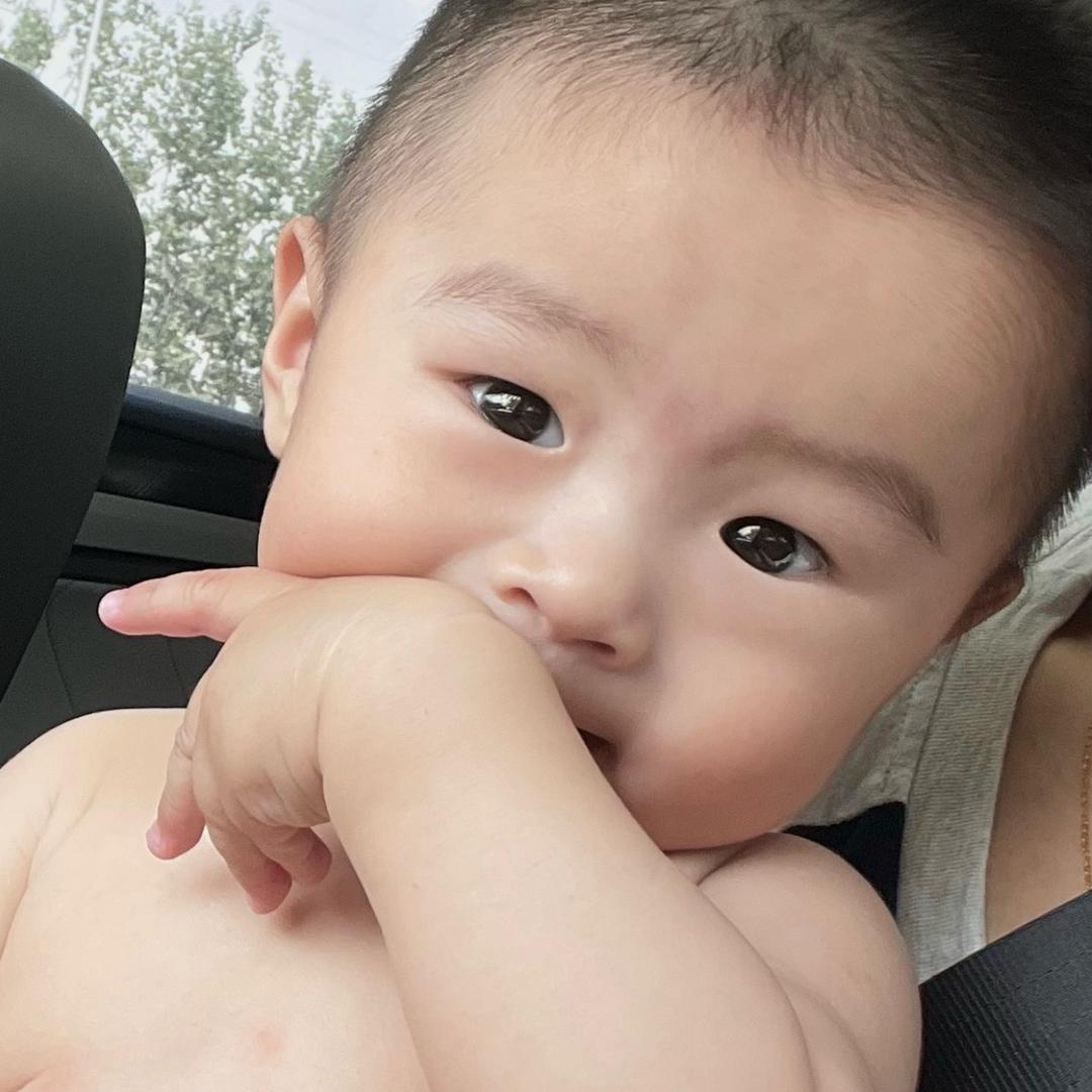 宁夏滩羊——伊布牛羊食品