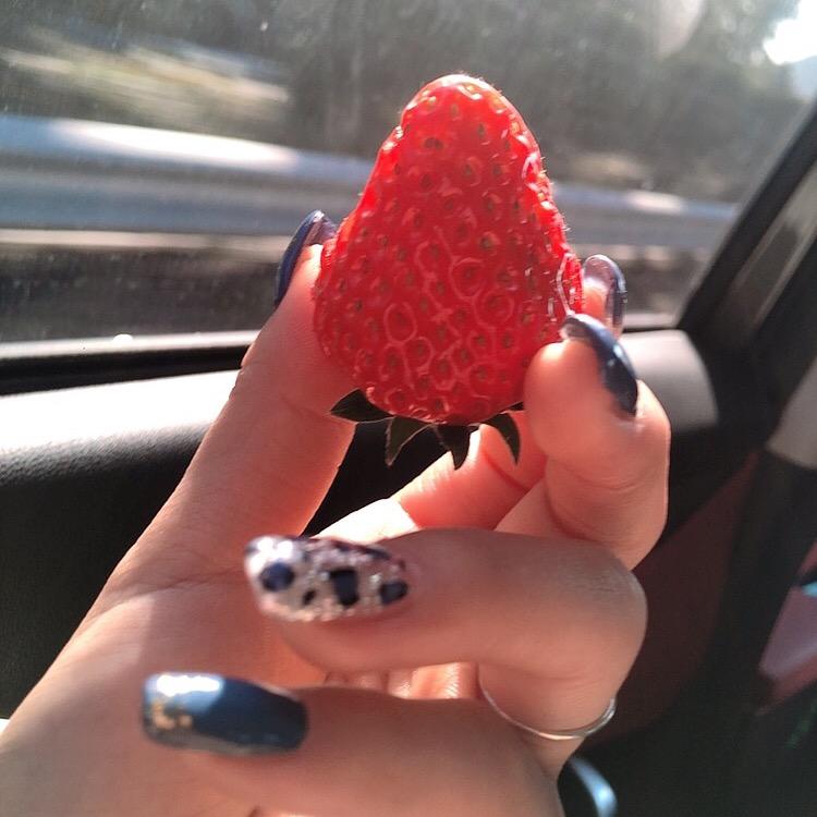 糖糖崽🍬