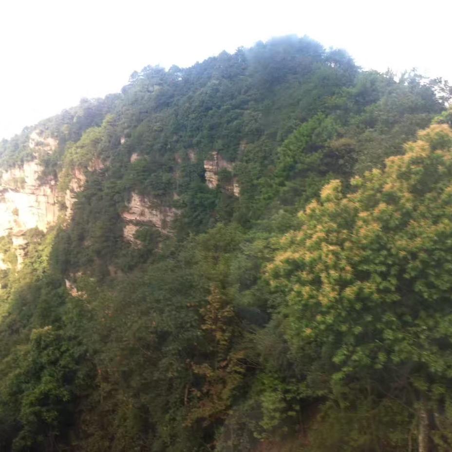 海阔天空爱旅游