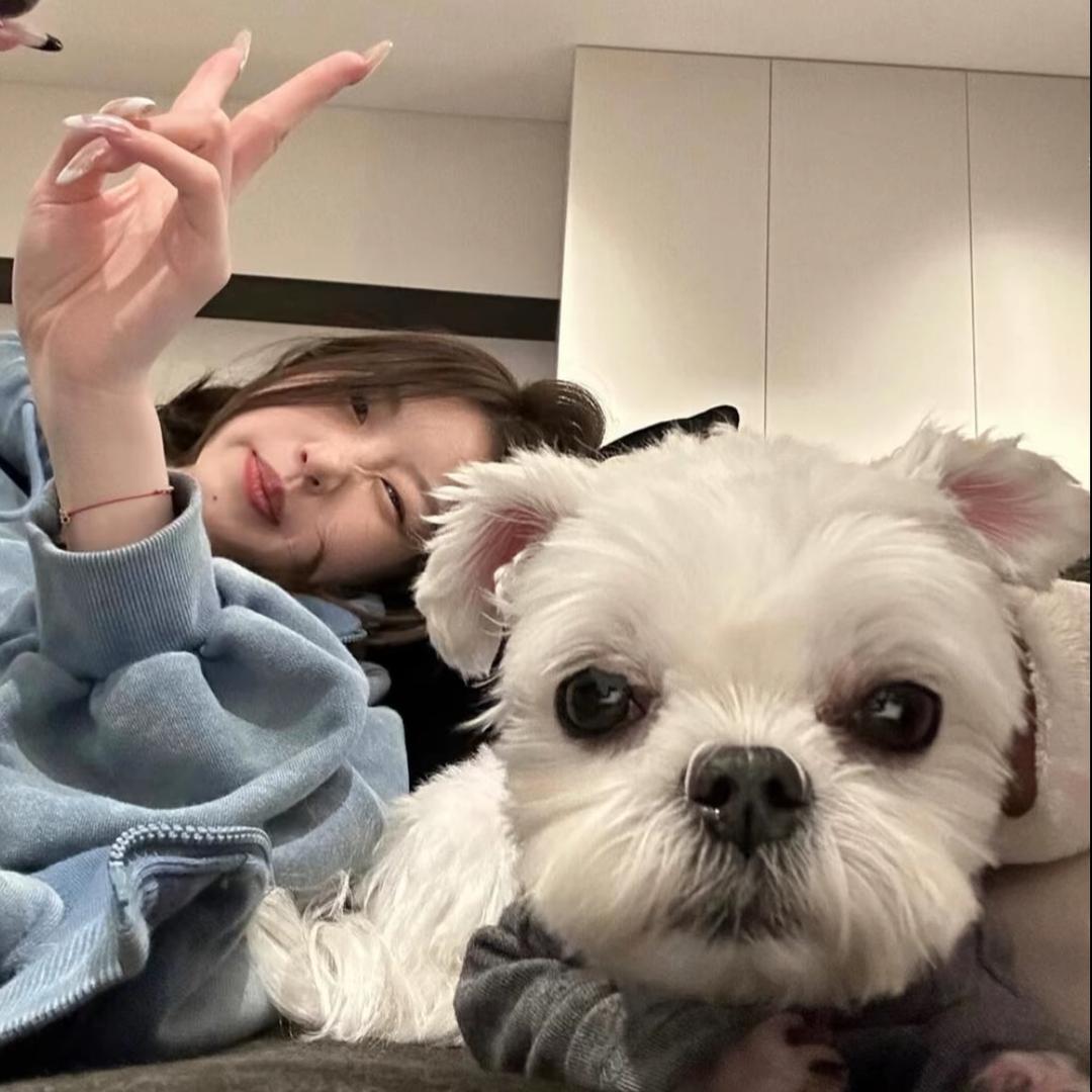 -小 情 緒.🖇️