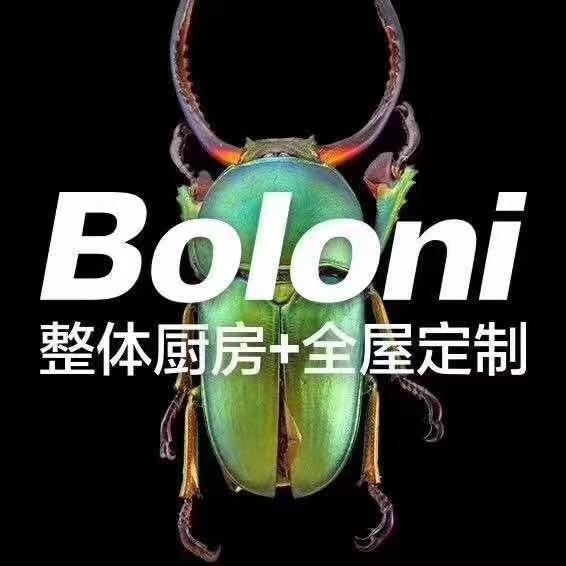 南阳博洛尼全屋定制家居