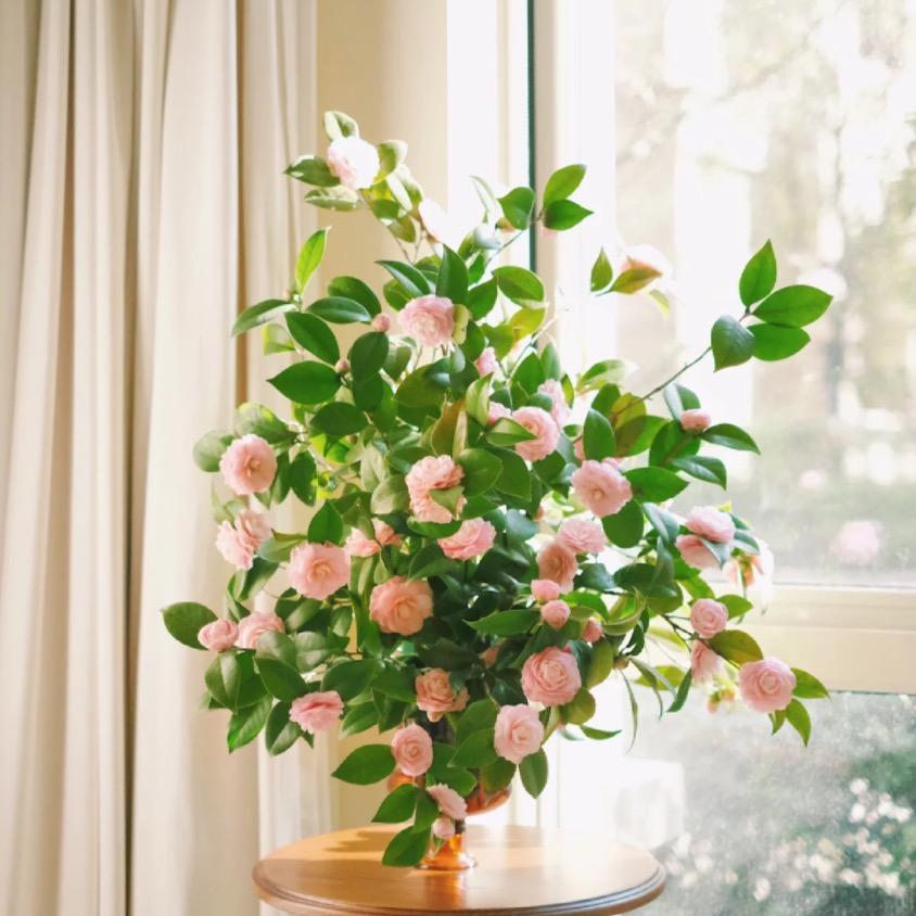 花漫漫轻奢软装花材 FLOWER