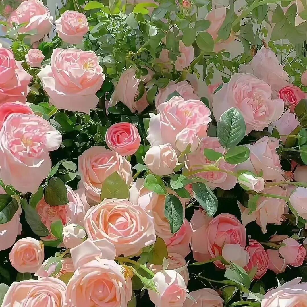 似水年华