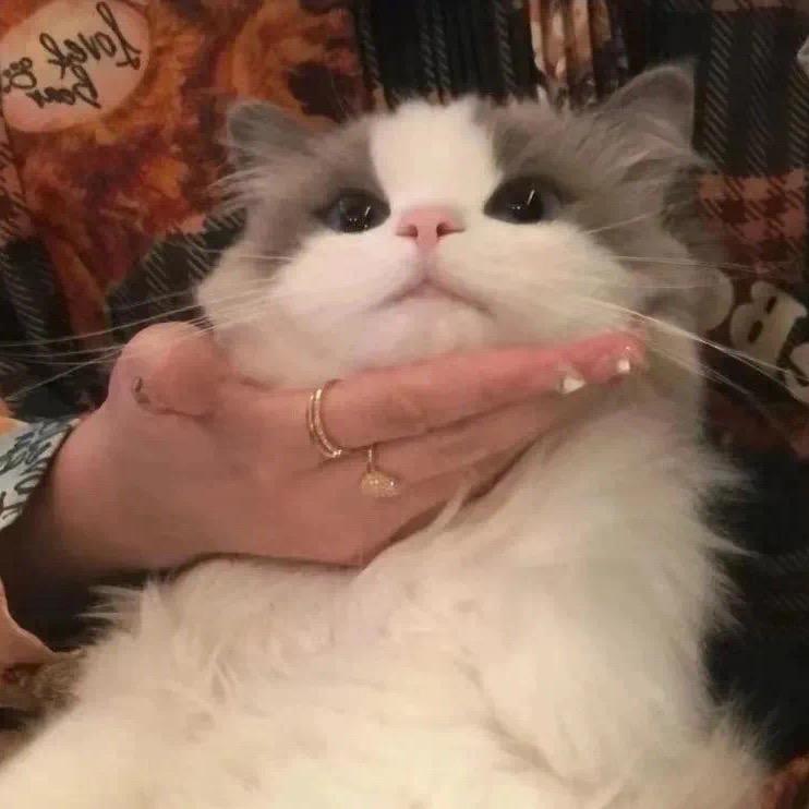 苏.