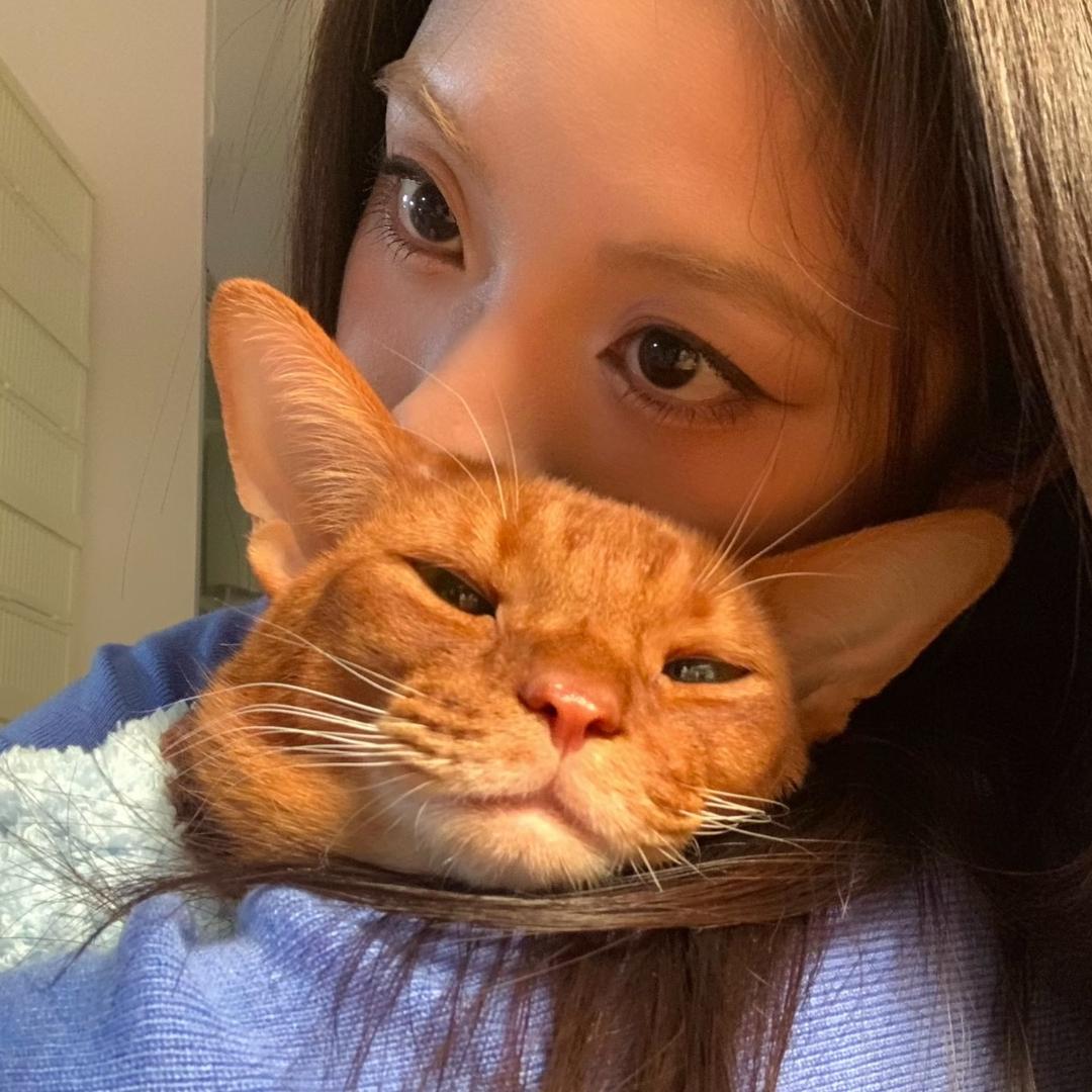 伤心结疤的无情后妈