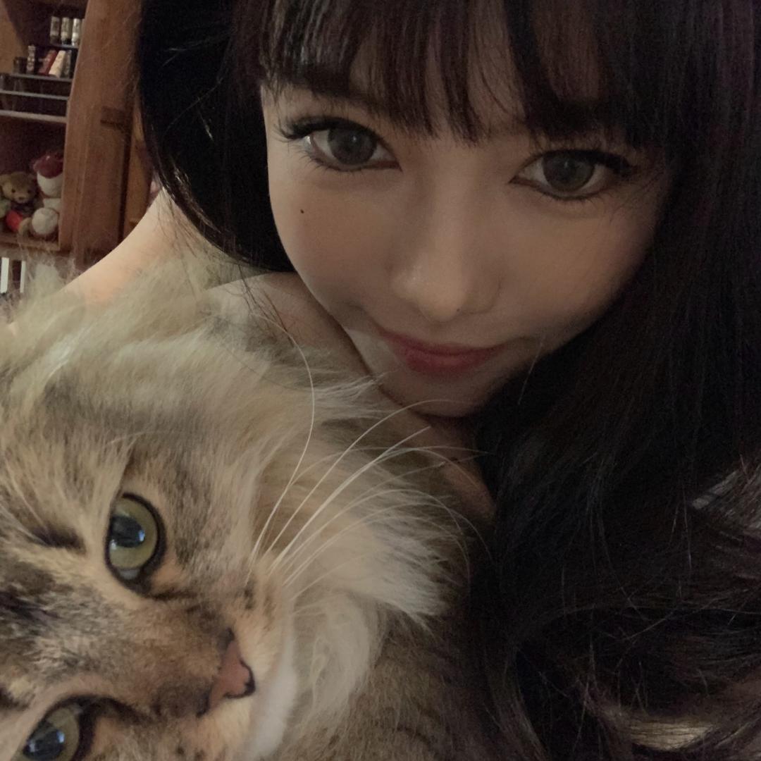 油炸亲故小绵羊🐏