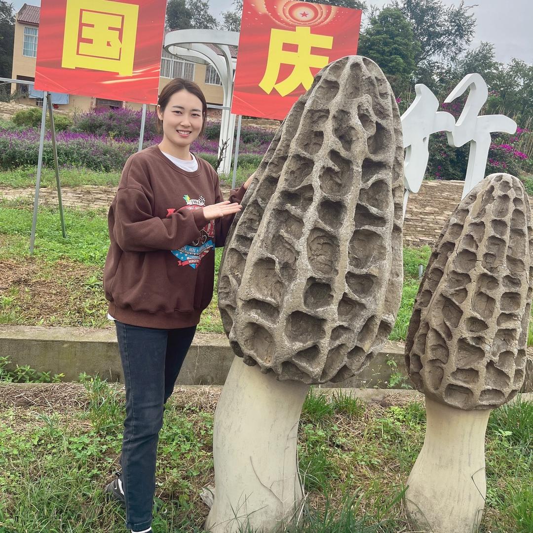 靖容羊肚菌产地批发