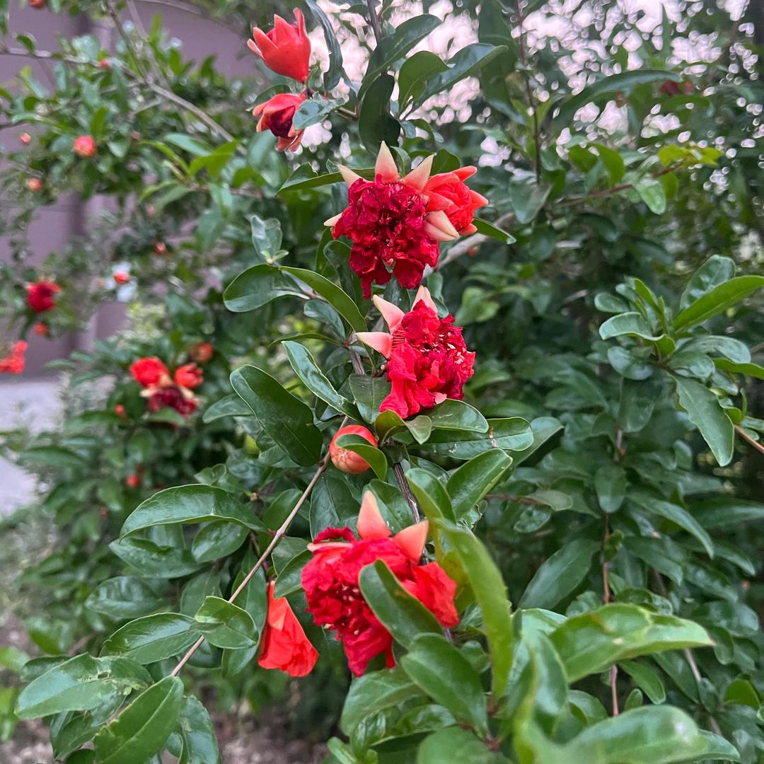 七零后wZb