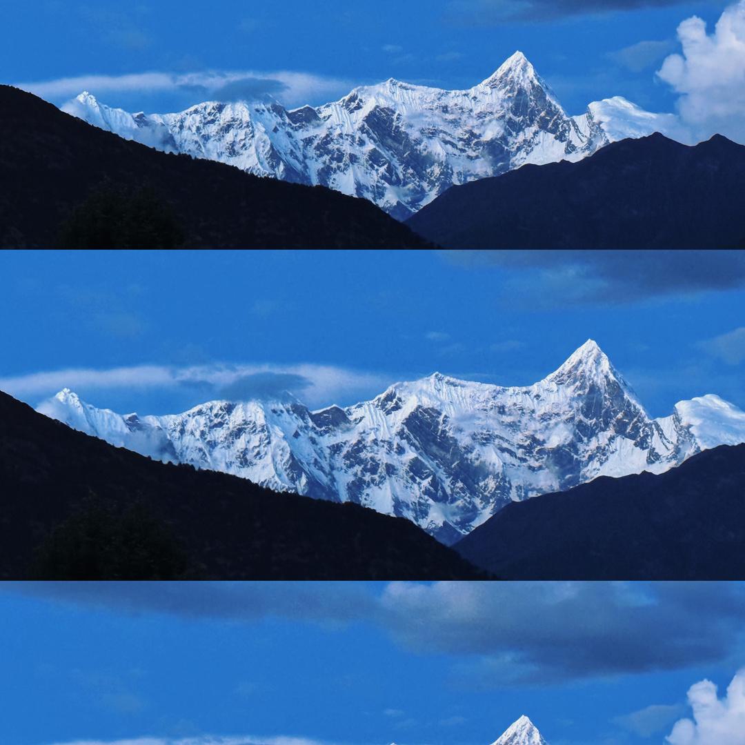山鹰