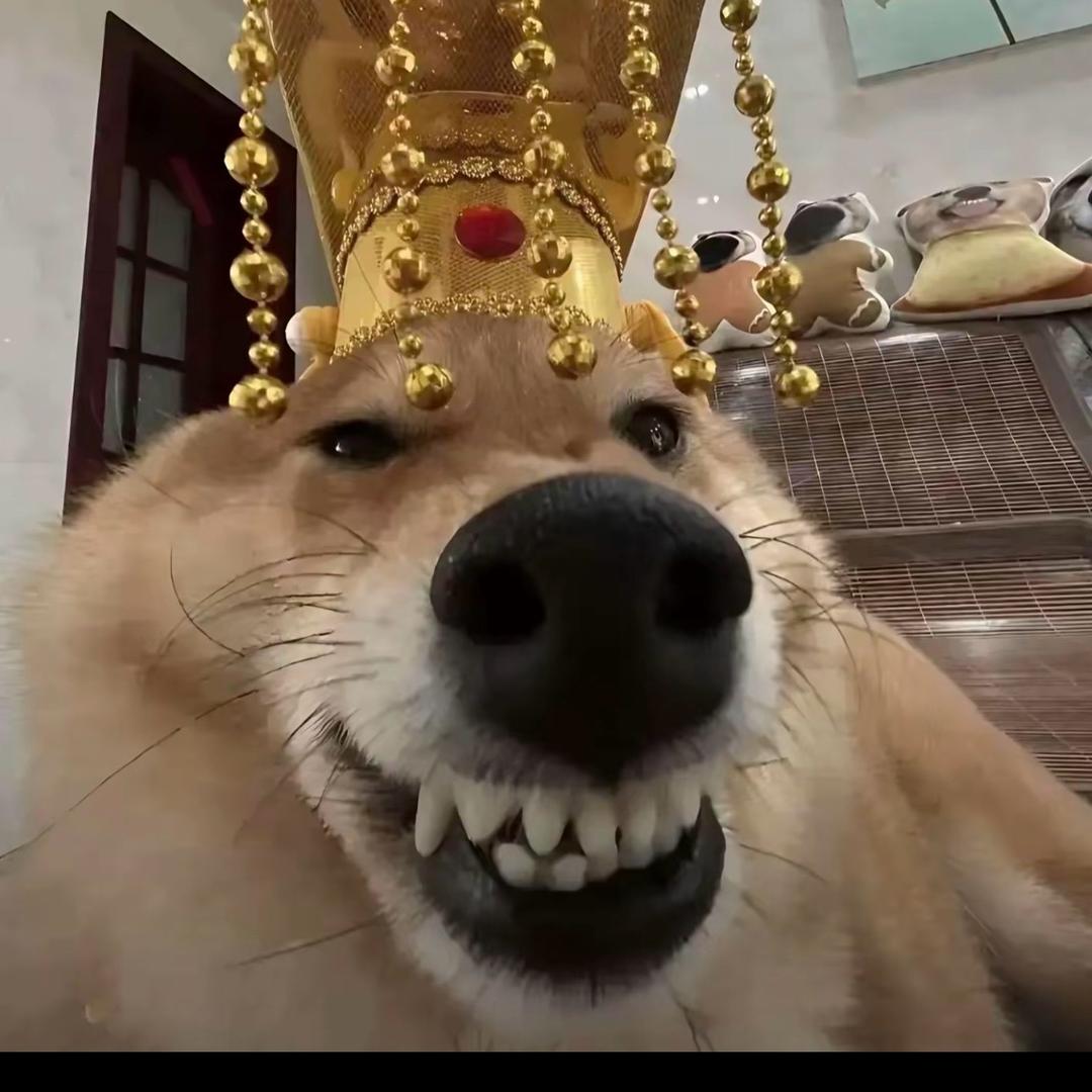 王 那 跑
