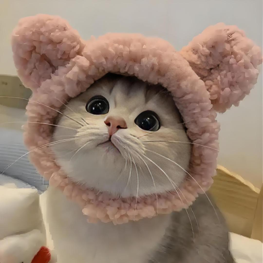 63284868835