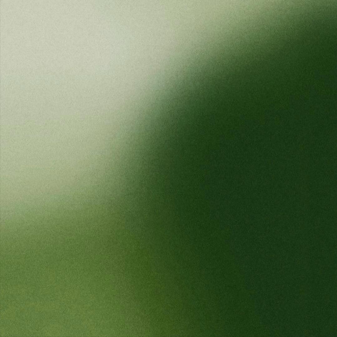 A1