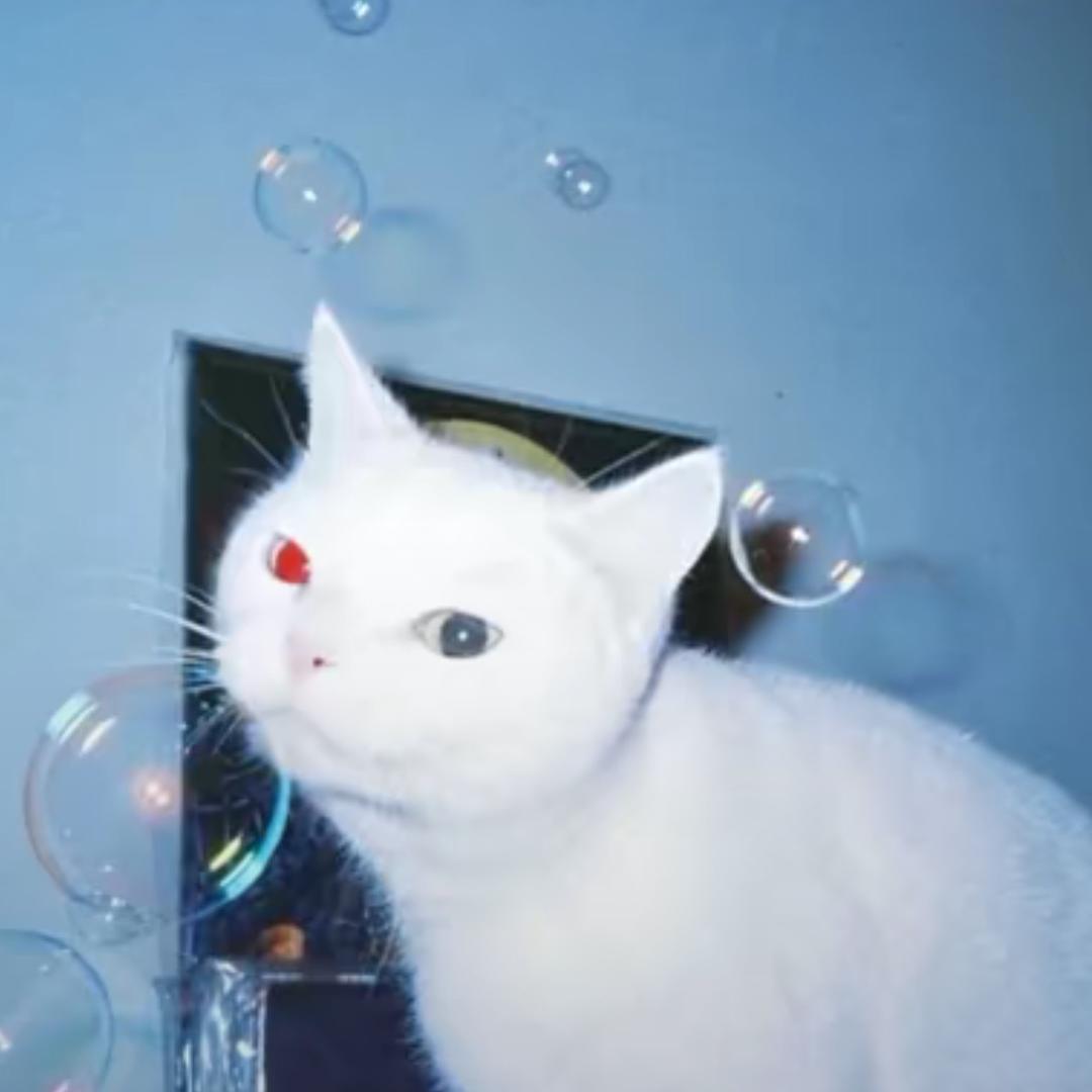 文文子-