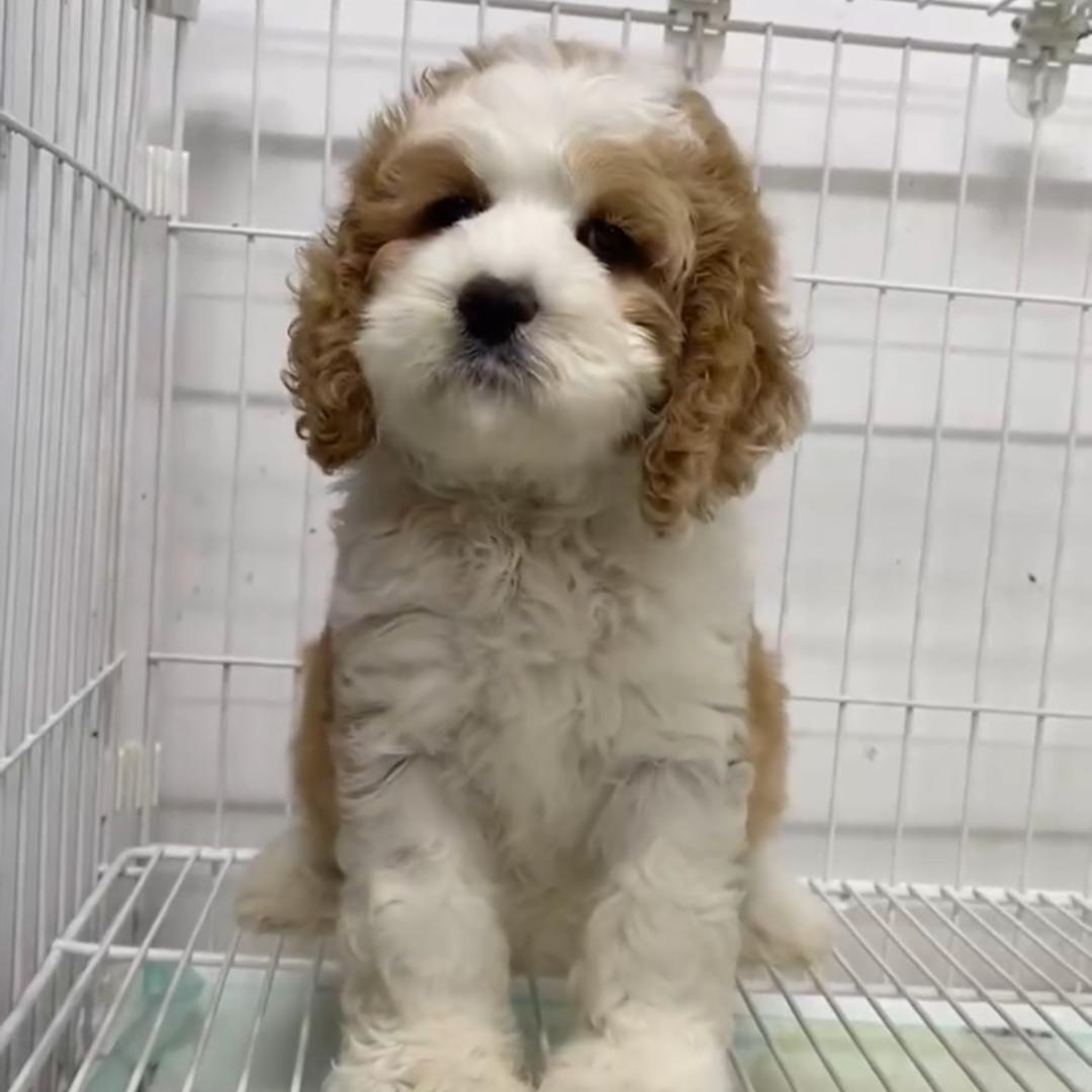 宠你到心