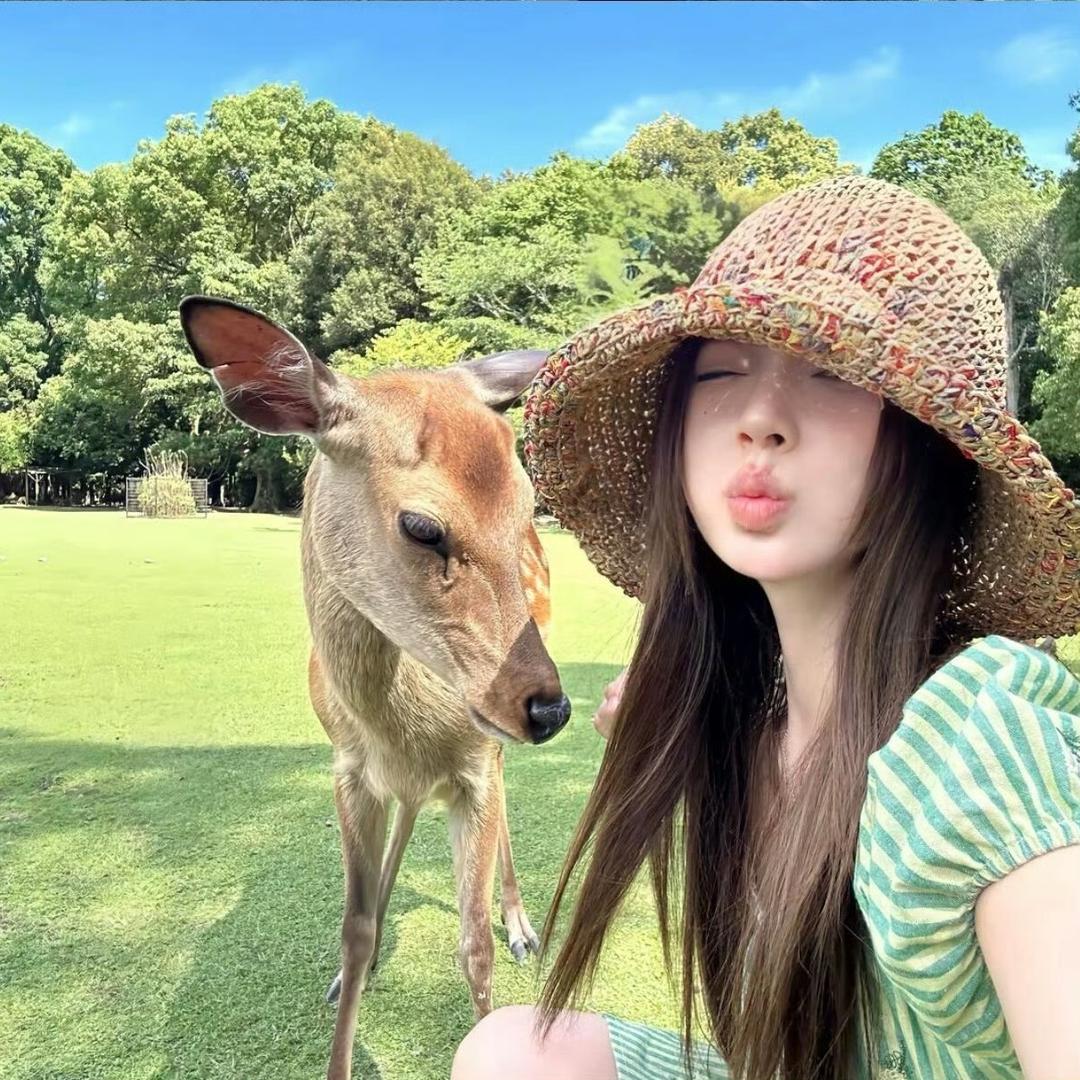 爱橘黄落日の猫