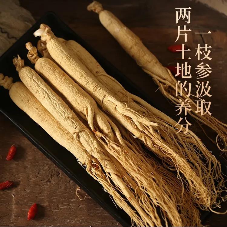 中医养生