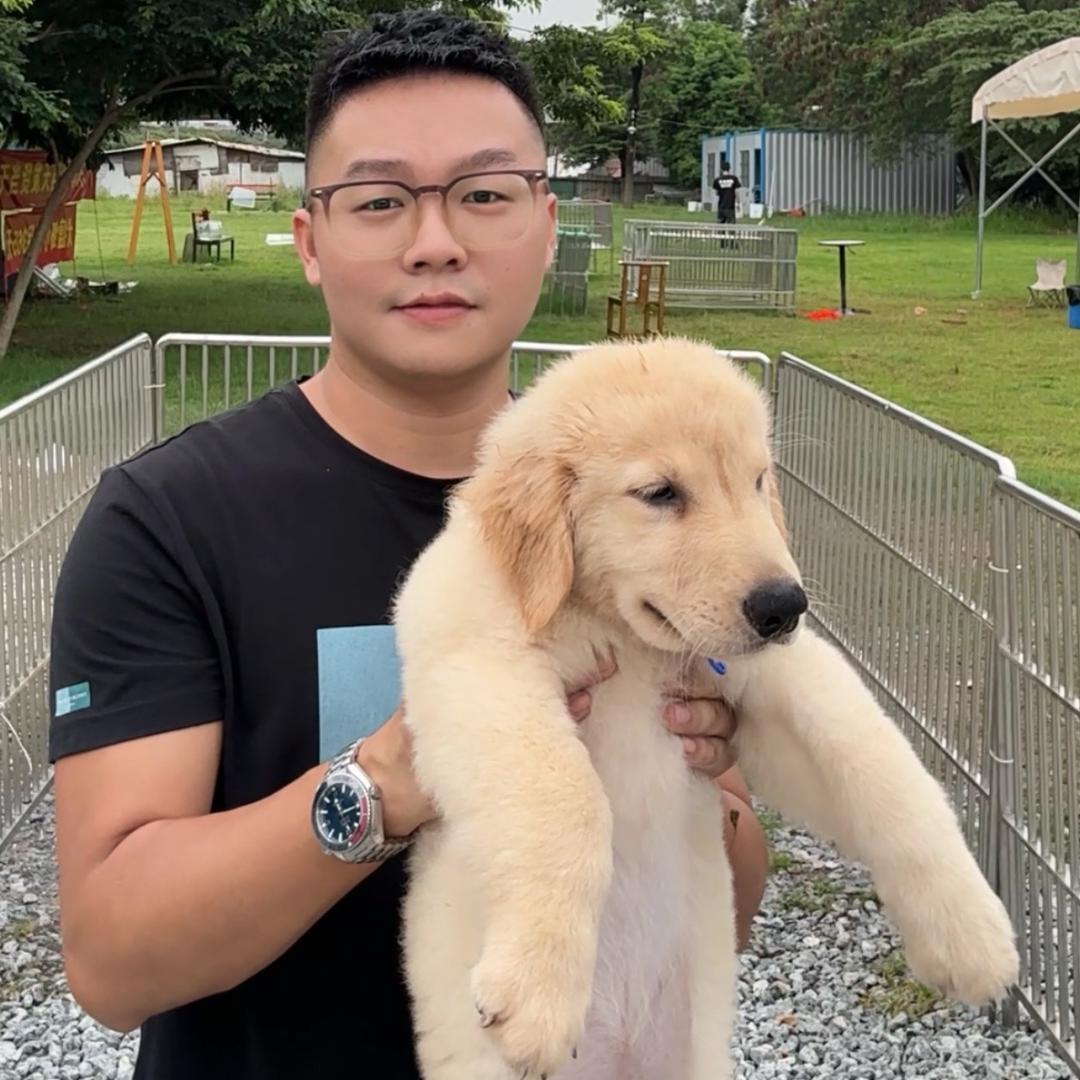 猫狗多多俱乐部
