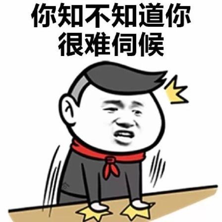 洲尚力哥