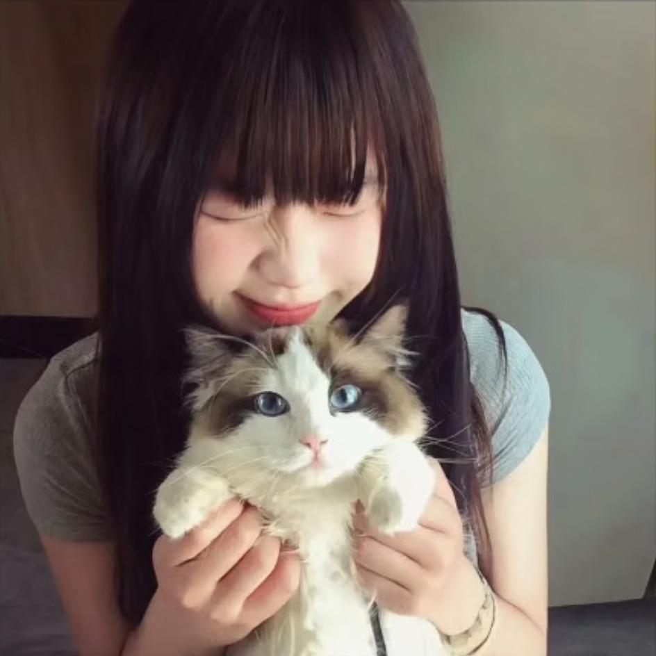 洋葱*