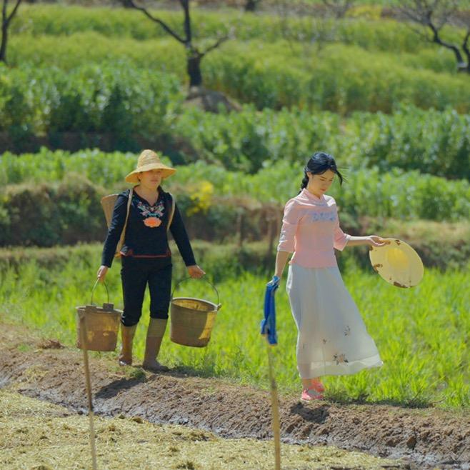 小花大花