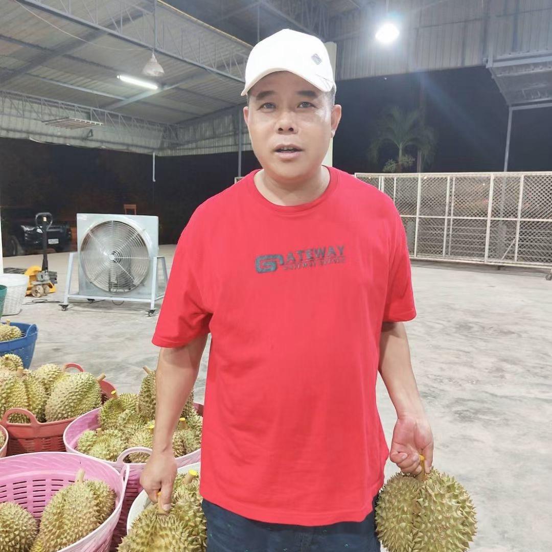 泰国刘记榴莲工厂L D国际贸易专业做树熟