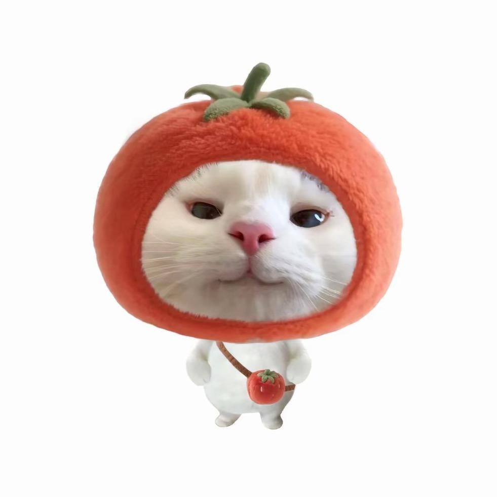 盐焗鸡