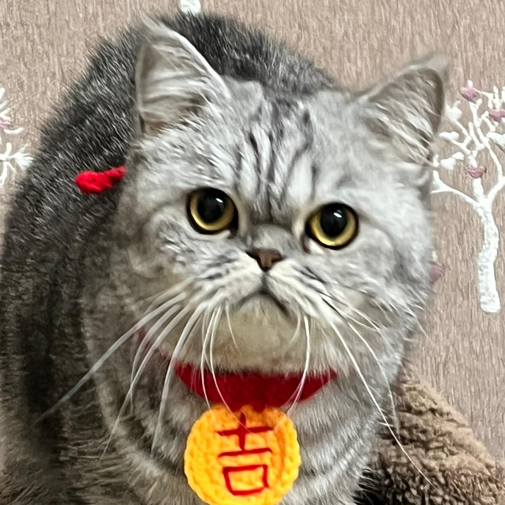 吉乐家日常