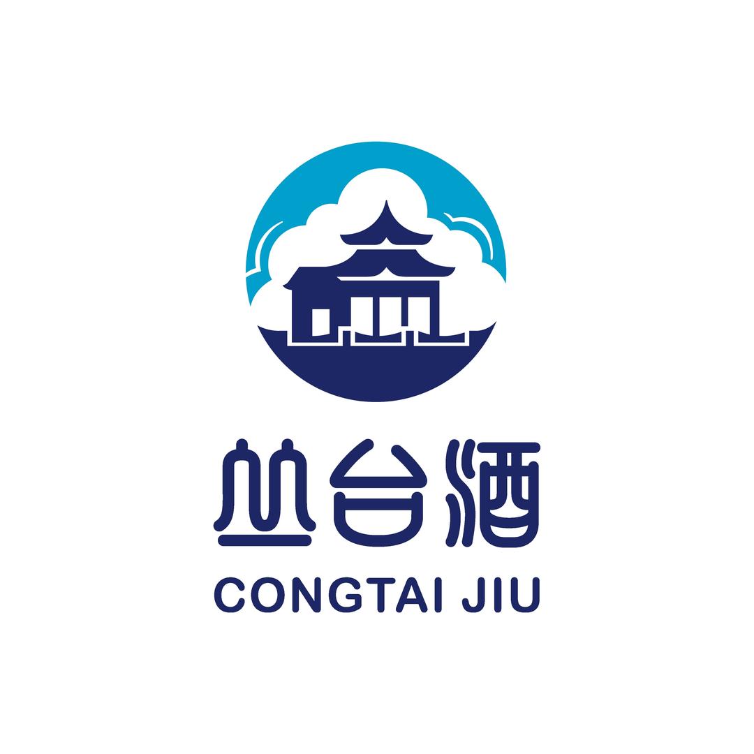 丛台白酒旗舰店