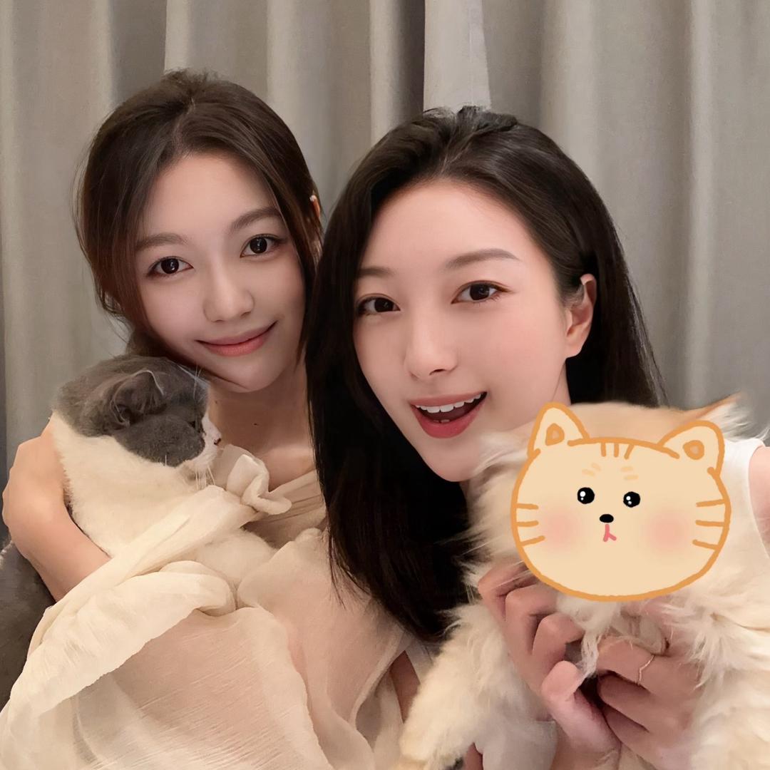 甜橙 🍊