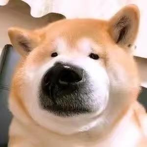 Danica天朗气清