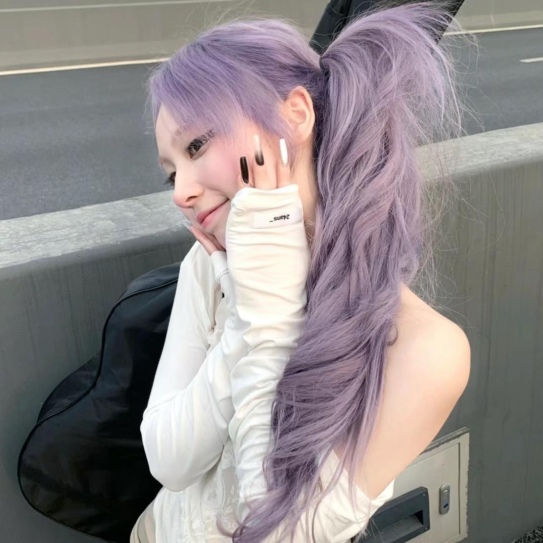 小猫宝宝