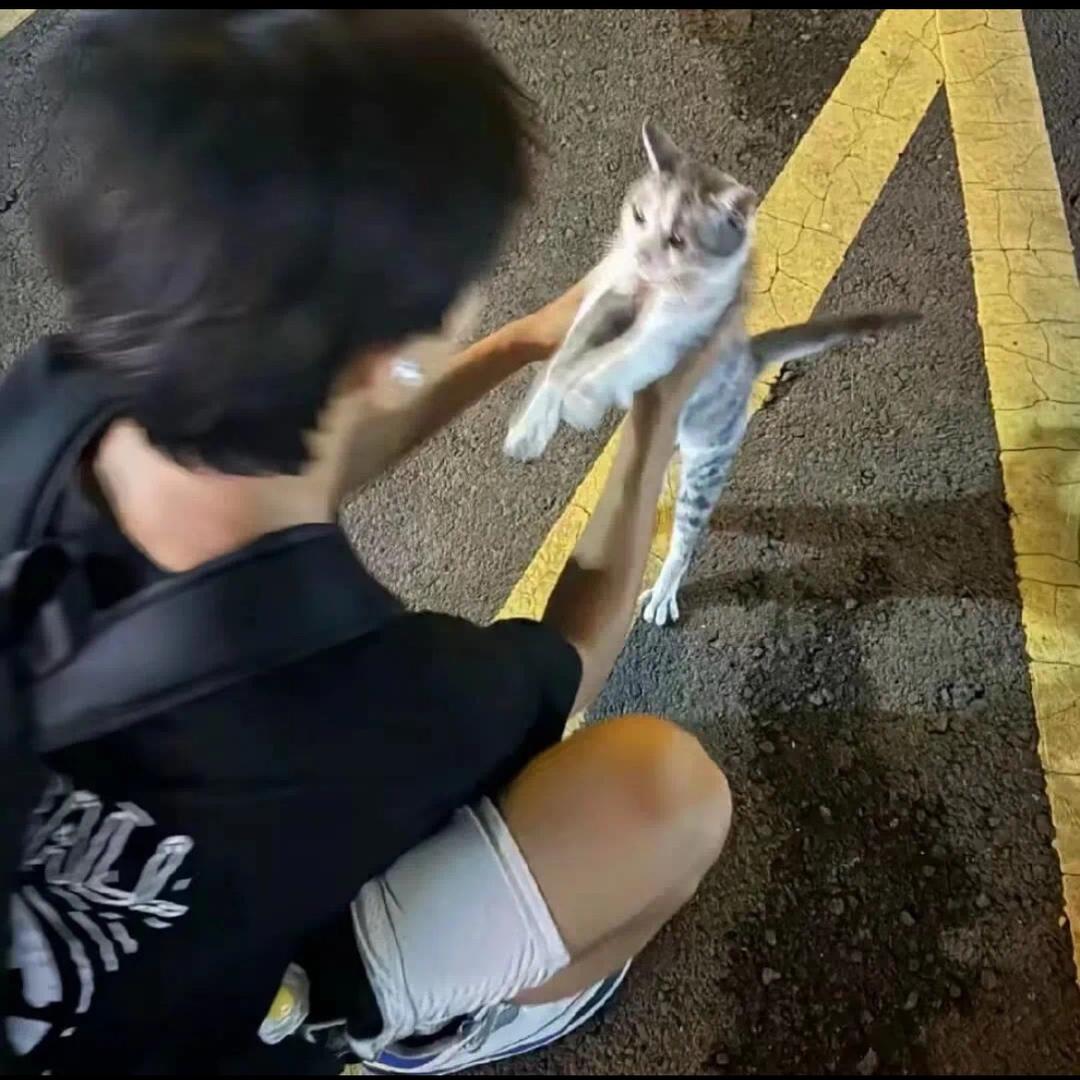 散