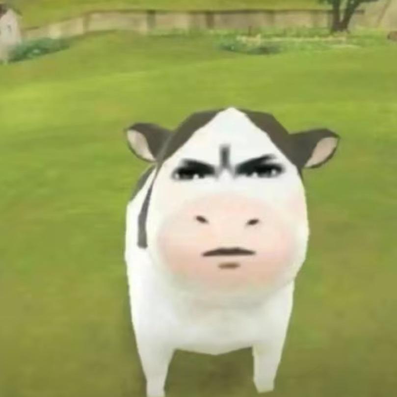 牛杂汤