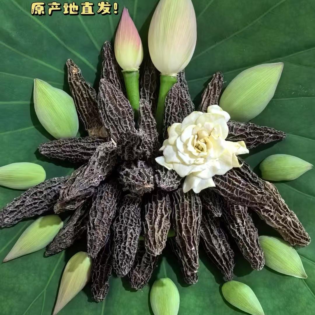 小菇菇家的菌
