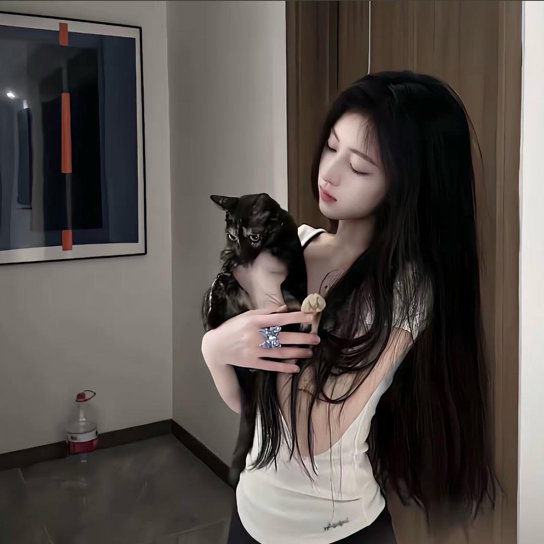 招财猫.🐈