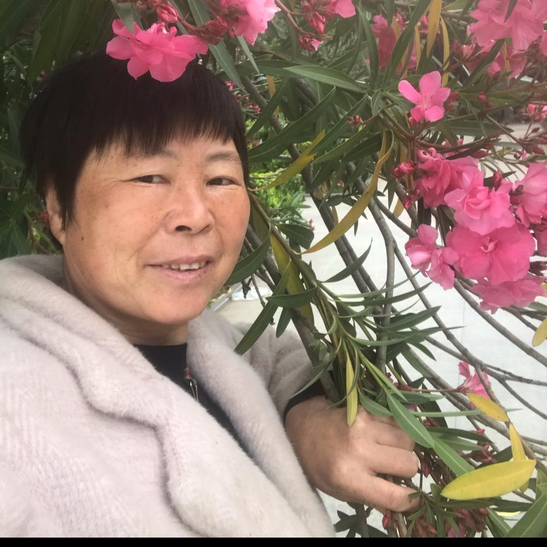 快乐大妈