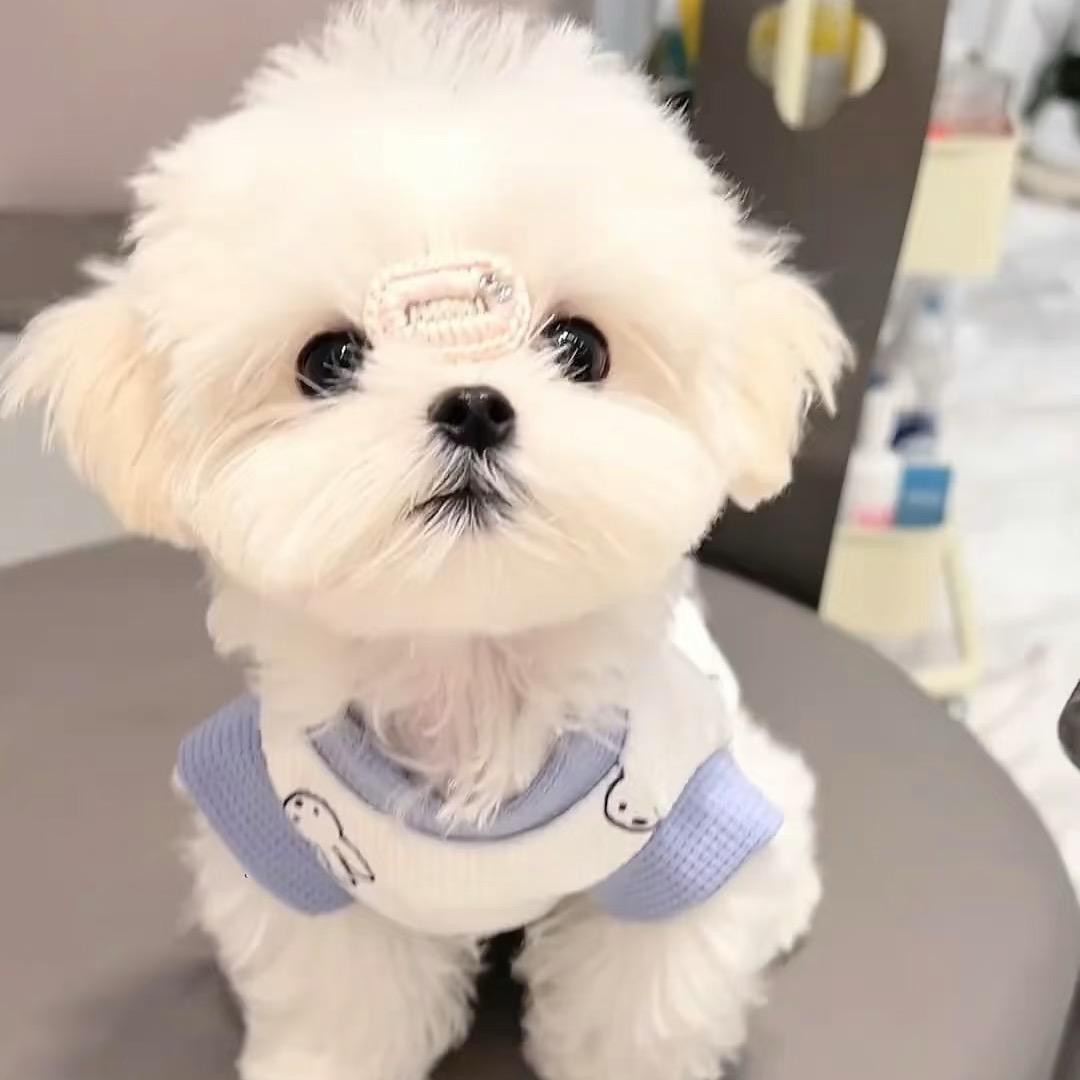拾忆臻选铺子