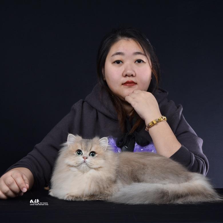 宫宠喵铺（专注洗猫连锁）