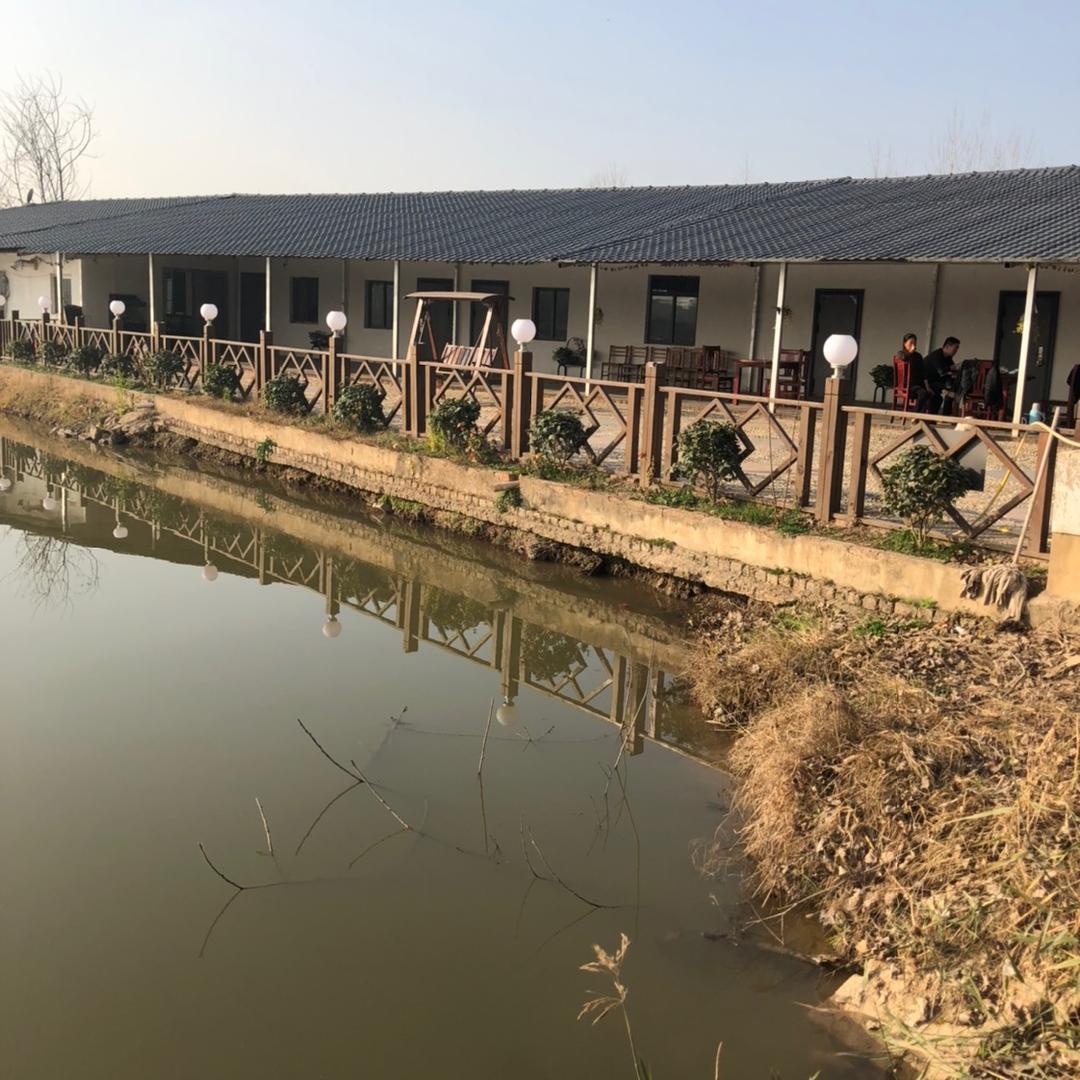 天兴洲 元华农家乐