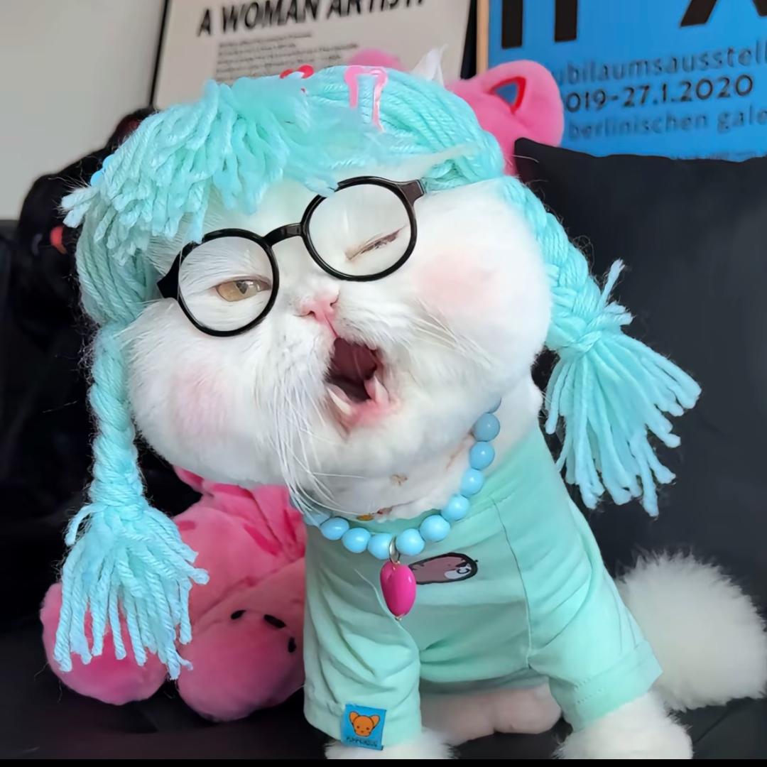 阿拉真的啦
