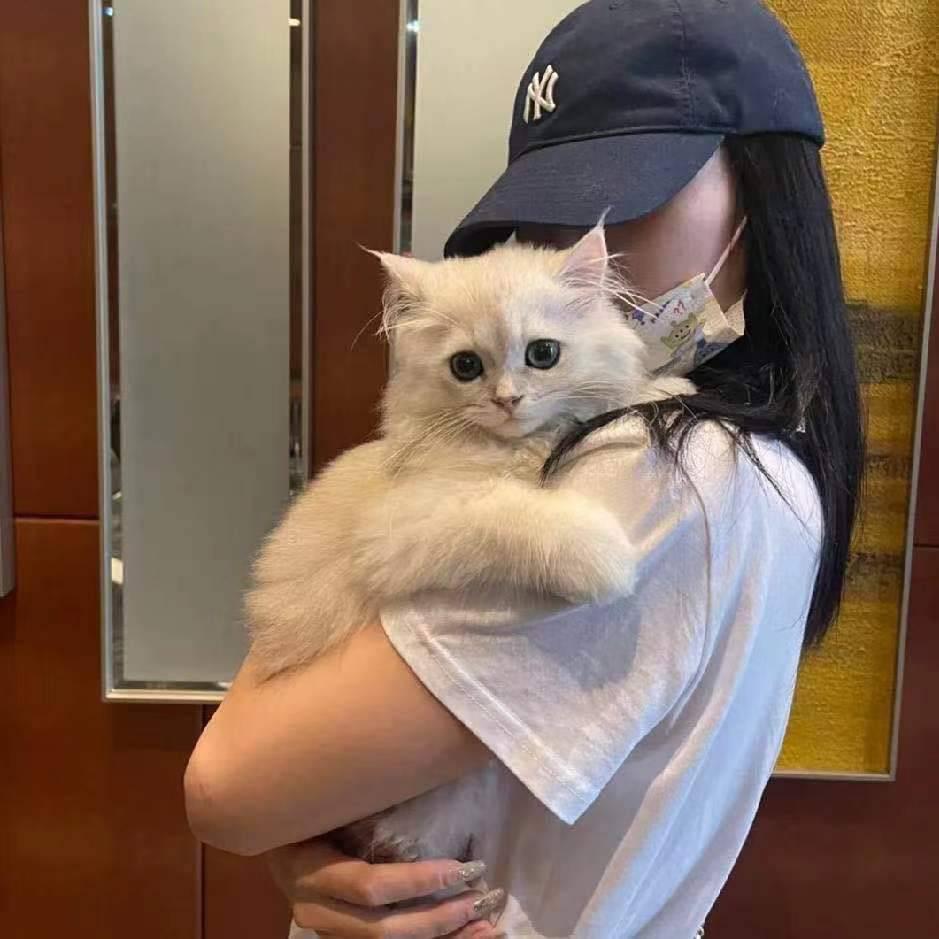 等到下一站我娶你