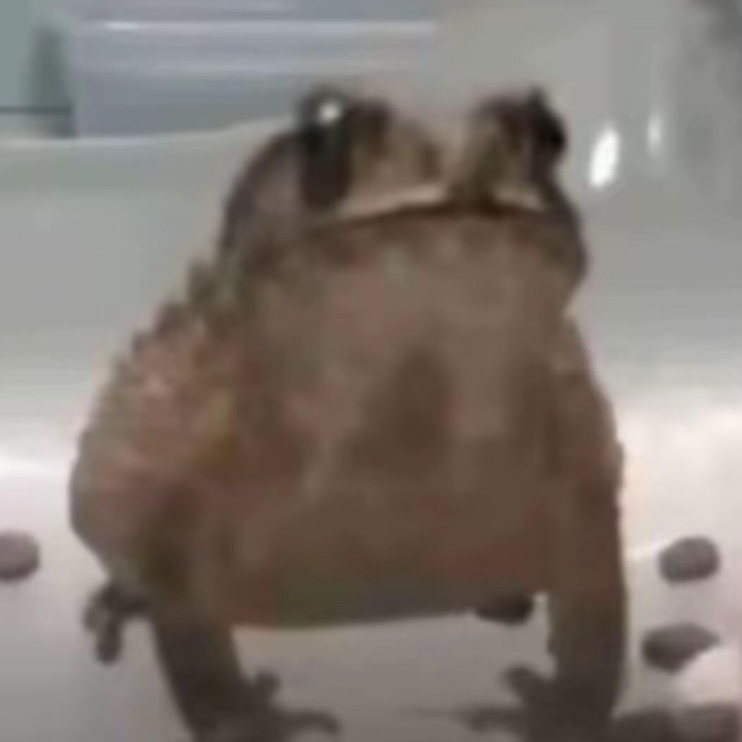 秦淮之